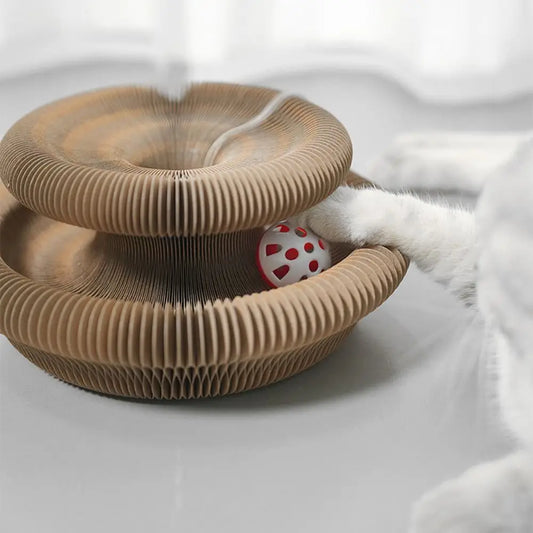 Magic Organ — Corrugated Scratching Board with Ball Toy