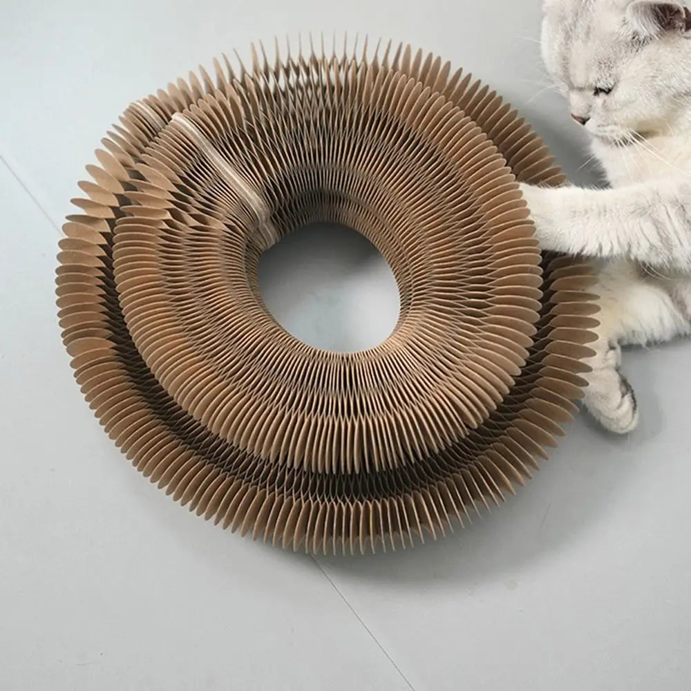 Magic Organ — Corrugated Scratching Board with Ball Toy