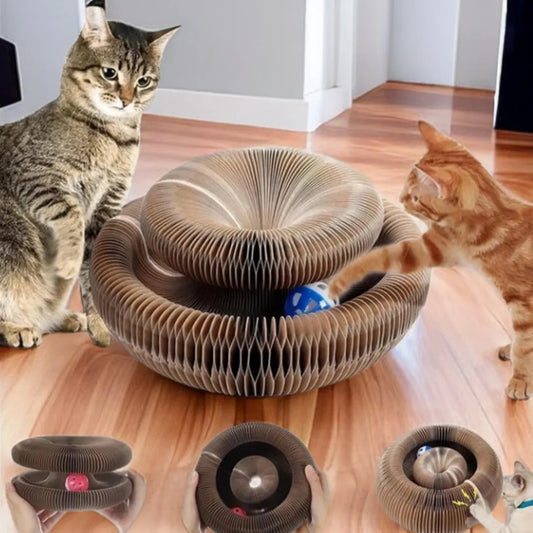Magic Cat Scratch Organ Board Toy – Ball & Claw Grinding